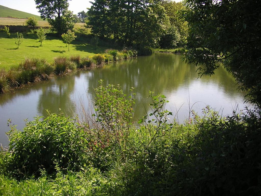 Kirkton of Largo Balhousie Farm Bed And Breakfast المظهر الخارجي الصورة